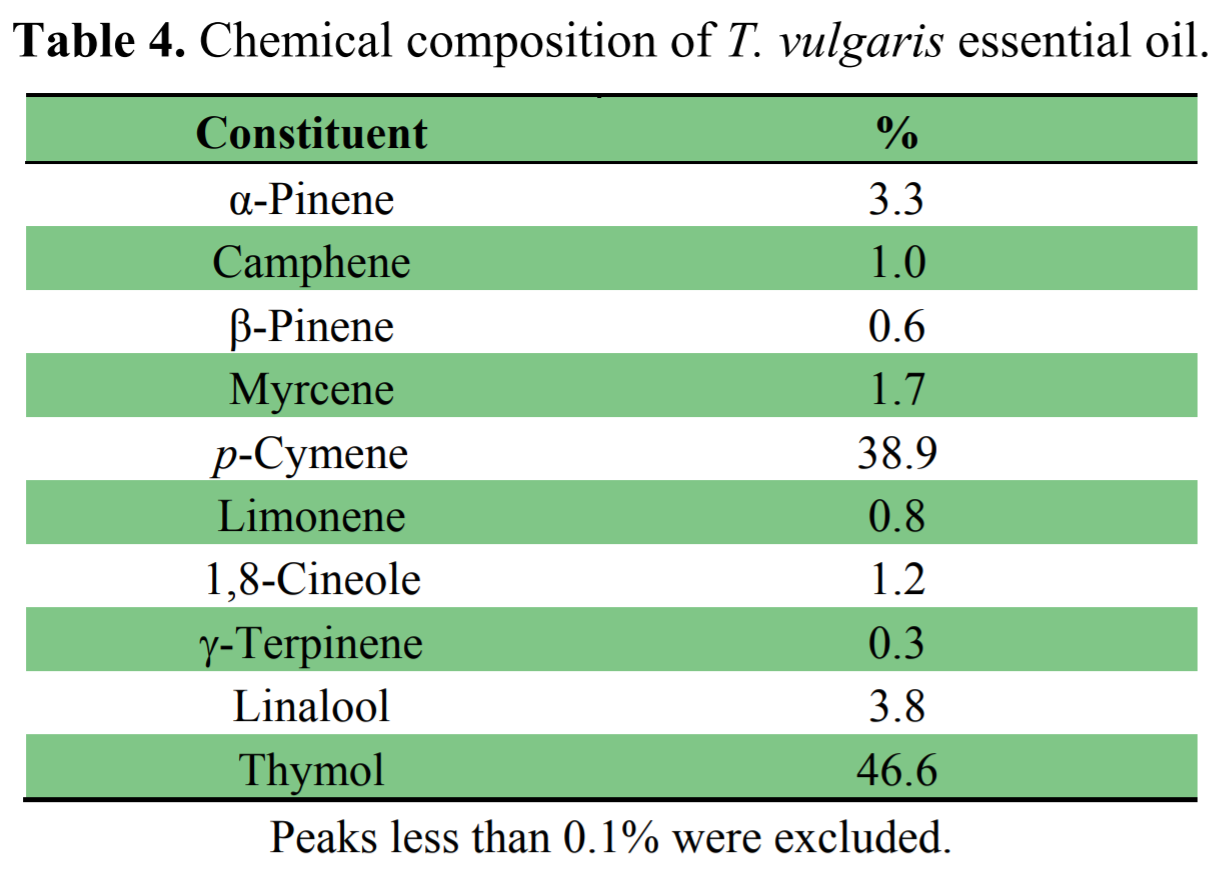 The amount of thymol in the study’s essential oil was about half; however there was not a significant level of carvacrol present. Given the variations of chemical content in this oil, it is hard to tell if Thymus pulegioides is more desirable.