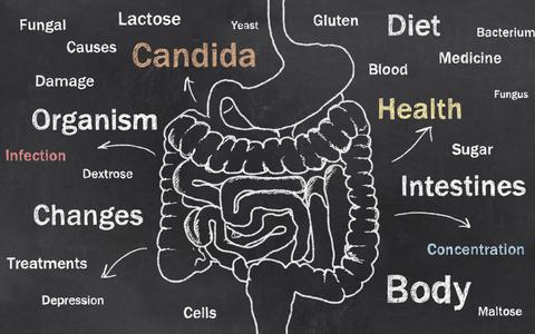 A Candida free diet is probably not necessary to get free from Candida.  You may need to follow one briefly, yet, natural medicine should be all you require.
