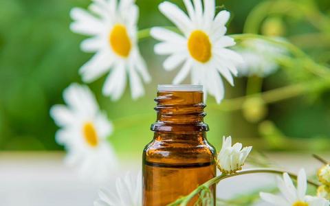 Chamomile not only has a beautiful appearance, it is a capable natural medicine.  The essential oil should also be able to be used medicinally.