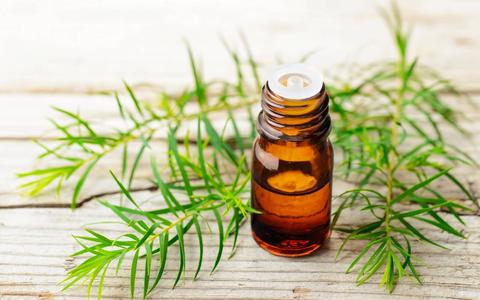 Understanding how to effectively use tea tree oil to treat Candida infections is vital!