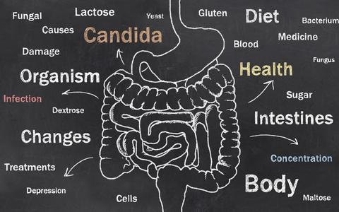 Too much Candida yeast in the body is a probable cause of many health maladies. Candida can synthesize toxins and alcohol via its metabolism. When enough of these harmful chemicals are in the body, it may impact your general health!
