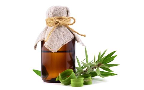 Tea tree oil is made from the tea tree (Melaleuca alternifolia).  The oil is a powerful antiseptic, capable of killing a wide variety of harmful microbes.  This essential oil can also quickly kill Candida fungi as well!