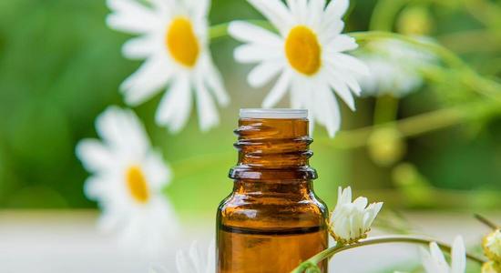 Chamomile not only has a beautiful appearance, it is a capable natural medicine.  The essential oil should also be able to be used medicinally.