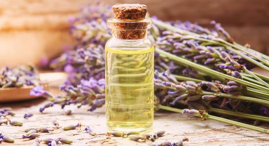 Lavander essential oil may work against Candida primarily due to the presence of linalool in the oil. This chemical compound is very effective at killing of this pathogenic yeast.