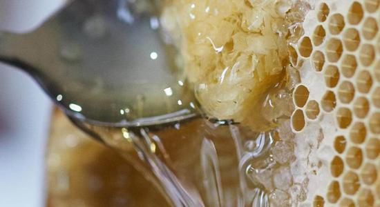Is it worth opting for raw or organic honey over a regular variety?