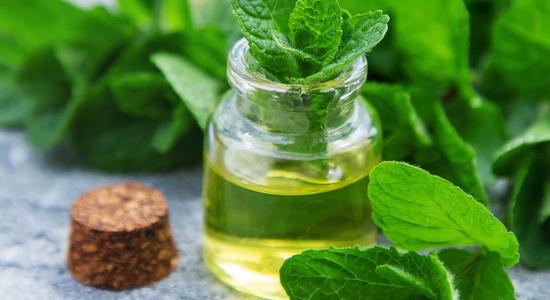 Peppermint essential oil is a great natural cure for yeast infections. This natural oil can clear up Candida biofilm and kill the yeast. Just be careful! Do not use too much of this potent oil. 